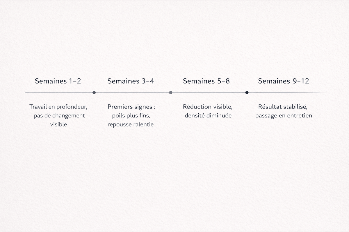 Timeline chronologique horizontale du protocole 8 semaines avec quatre jalons et citations de Catherine